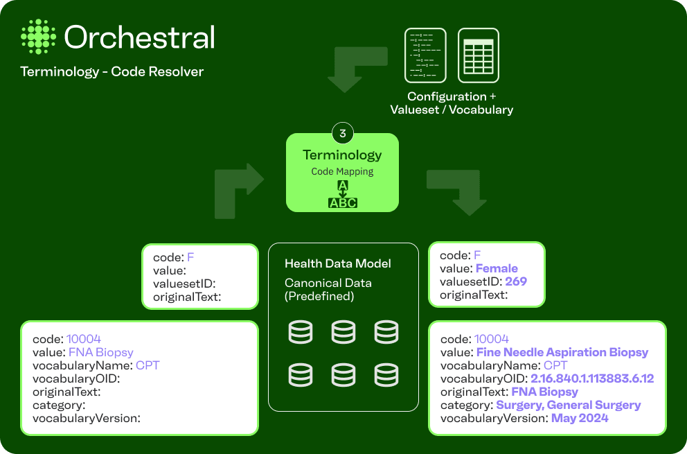 Terminology Code Resolver.png